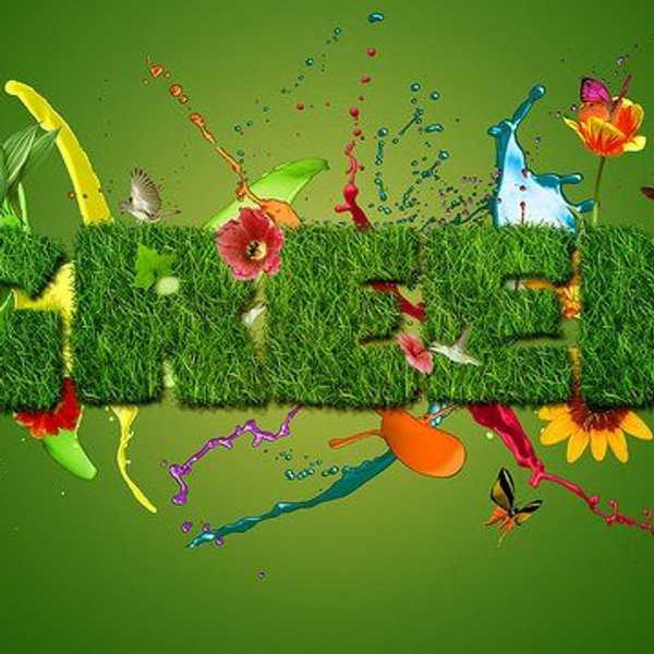 21 Completely Realistic Ways To Go Green