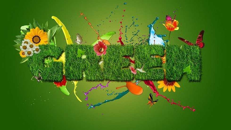 21 Completely Realistic Ways To Go Green