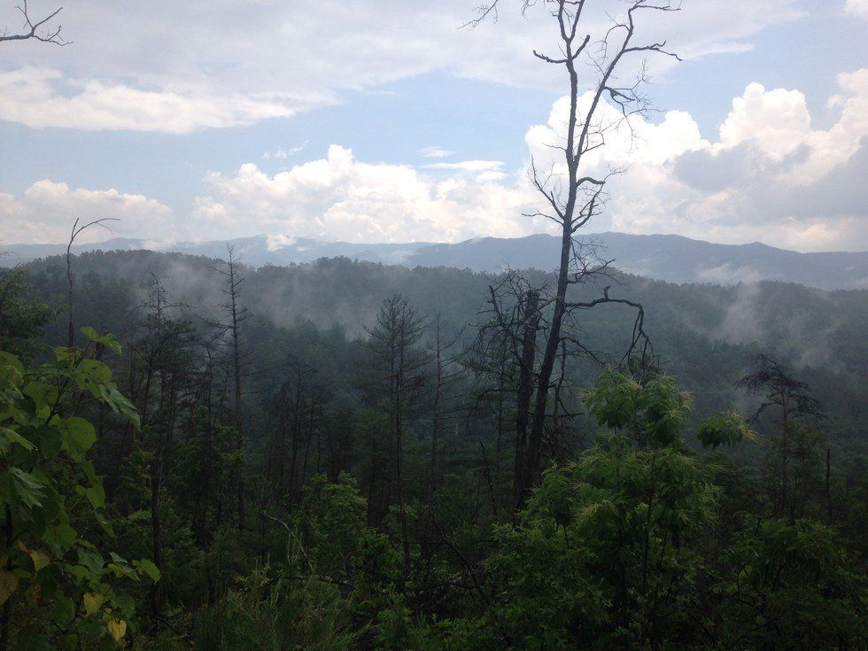 10 Things Every Camp Counselor Understands