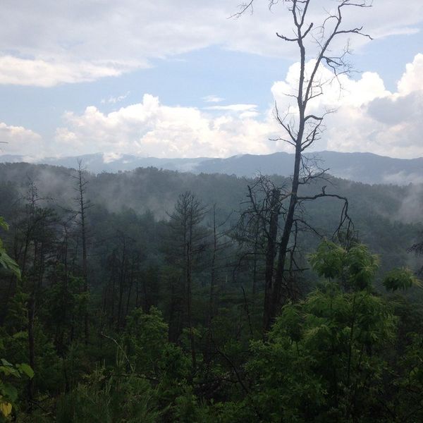 10 Things Every Camp Counselor Understands