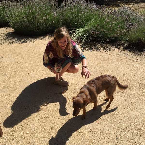 Praise For Dog Owners