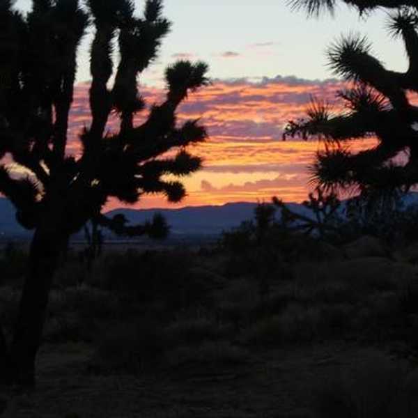 Little Town, Big Blessings