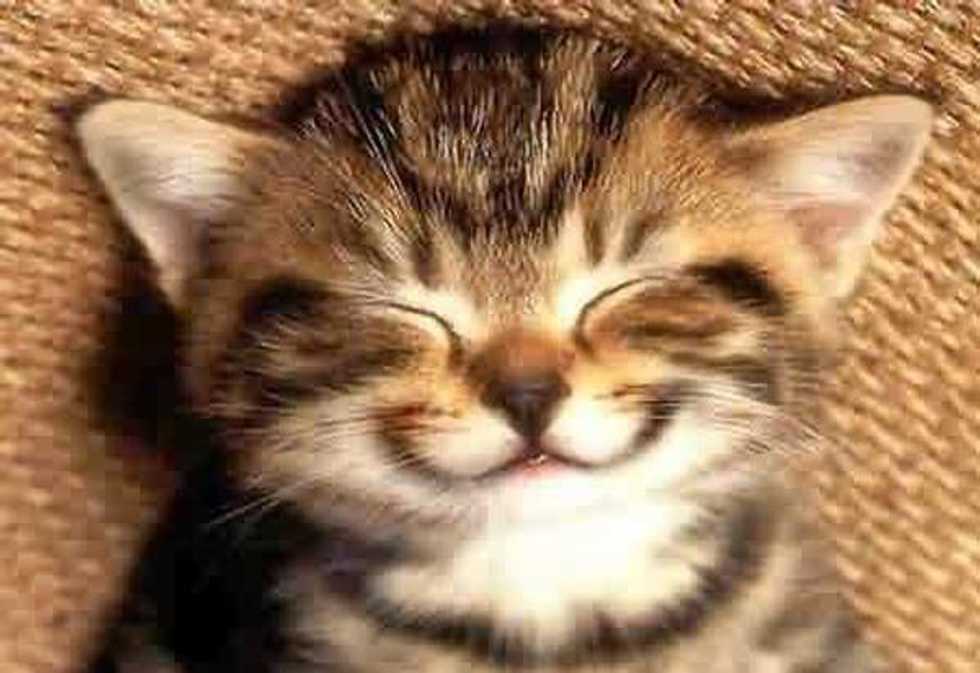 5 Reasons To Smile Today
