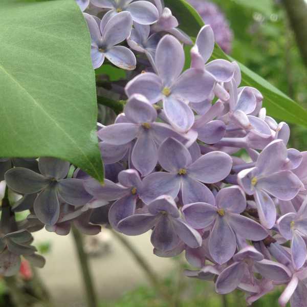 The Best Ways To Prepare For A Change In The Season