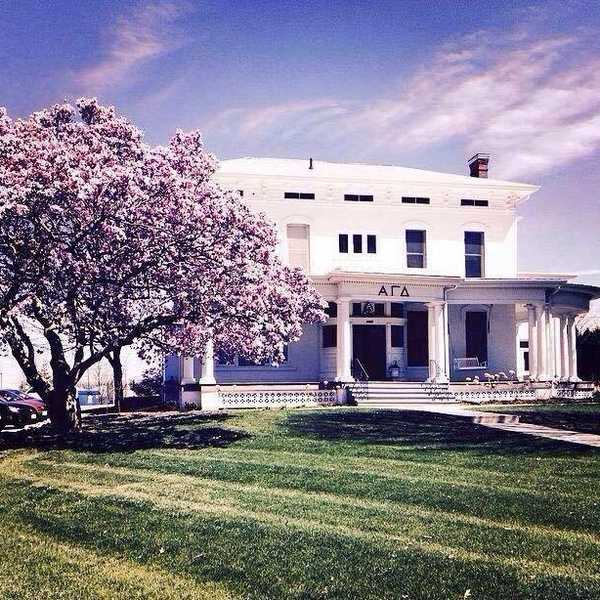 An Open Letter To The Girls Moving Into My Sorority House After Me