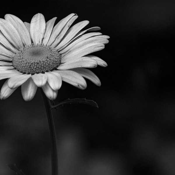 The Importance of Storytelling