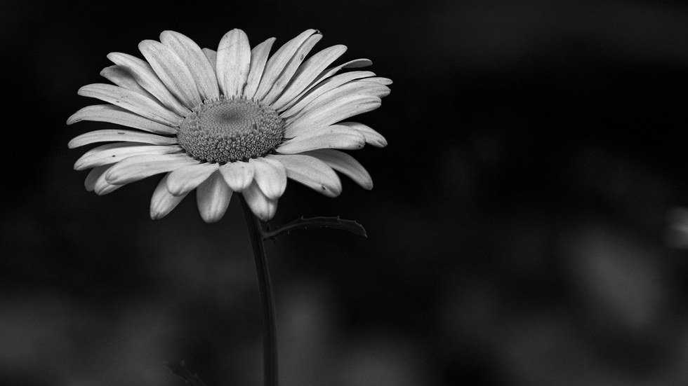 The Importance of Storytelling