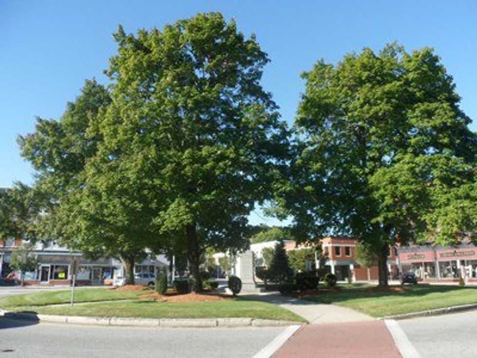 To The Kids Who Grew Up In A Suburban Town
