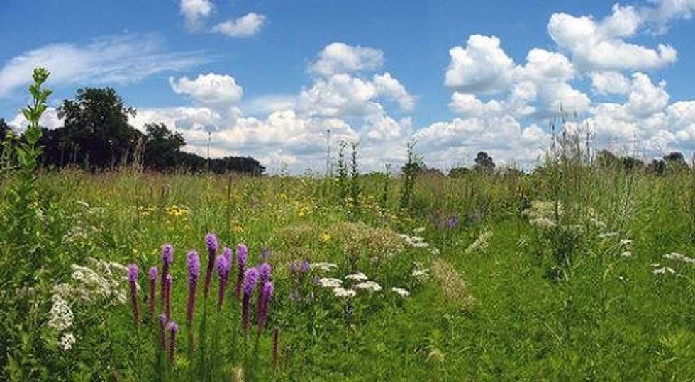 15 Quotes That Speak To Environmental Studies Majors