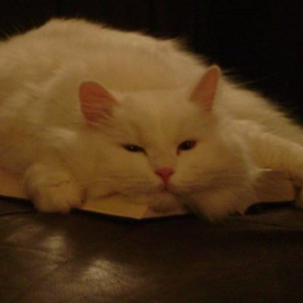 Relaxing Is Not A Crime