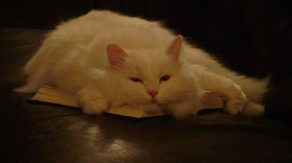 Relaxing Is Not A Crime