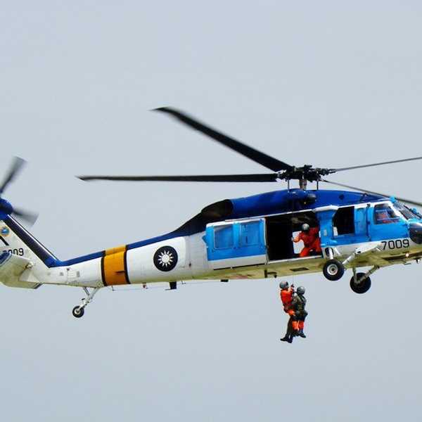 How My Thursday Night Turned into a Pigeon Rescue Operation