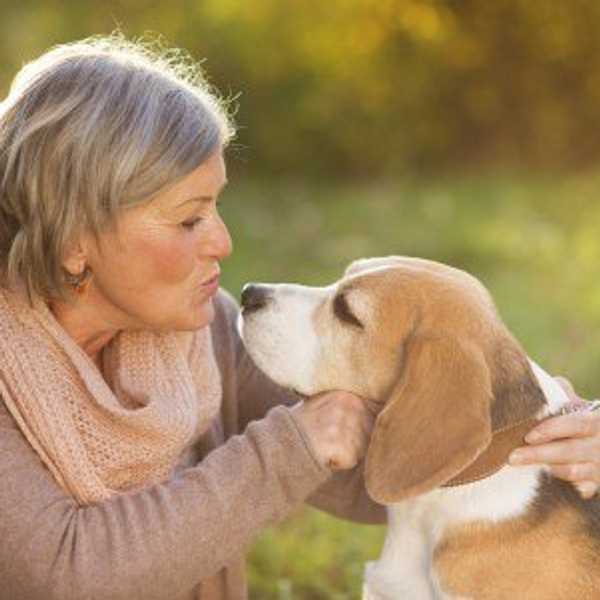 Why You Should Get a Pet for Your Health