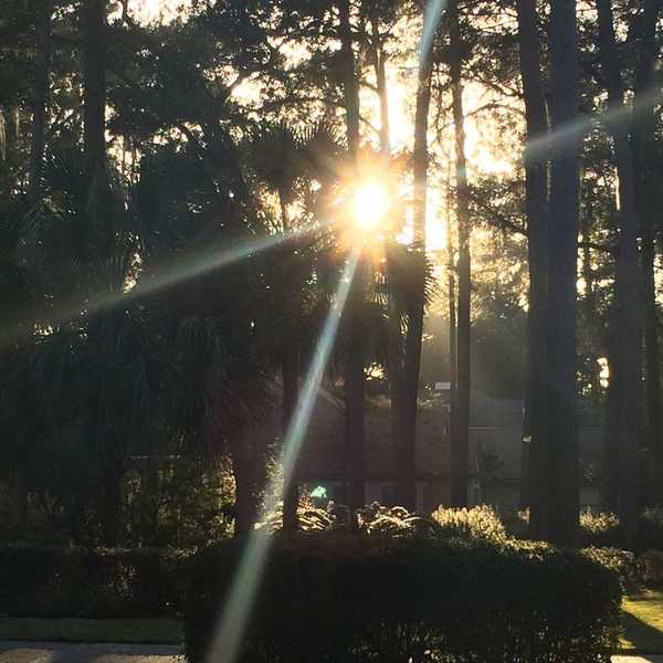 10 Ways To De-Stress Before And During Finals