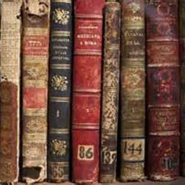 My Literary Boyfriends