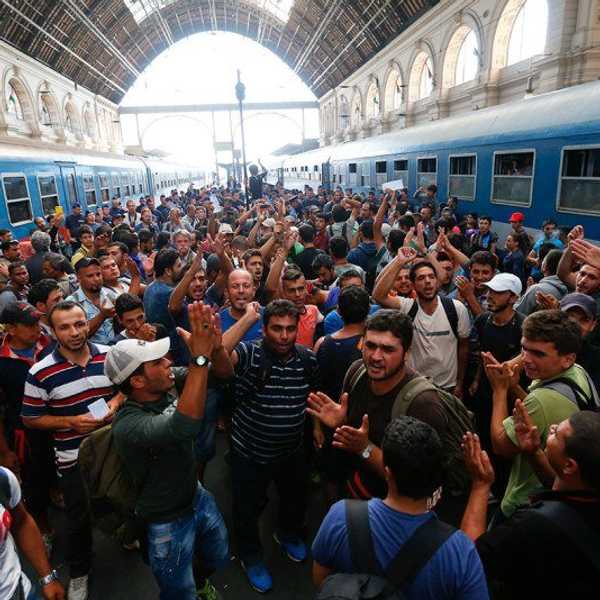 Grocery Shopping With Refugees