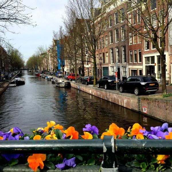 Don't Take Your Nostalgia For Granted