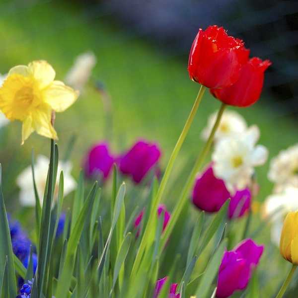 5 Reasons We're All Happy About the Arrival Of Spring Weather