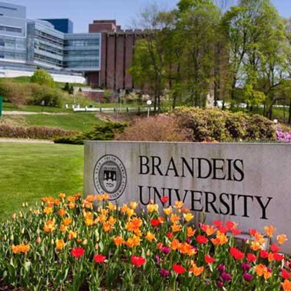 If The Buildings At Brandeis Were Your Family Members