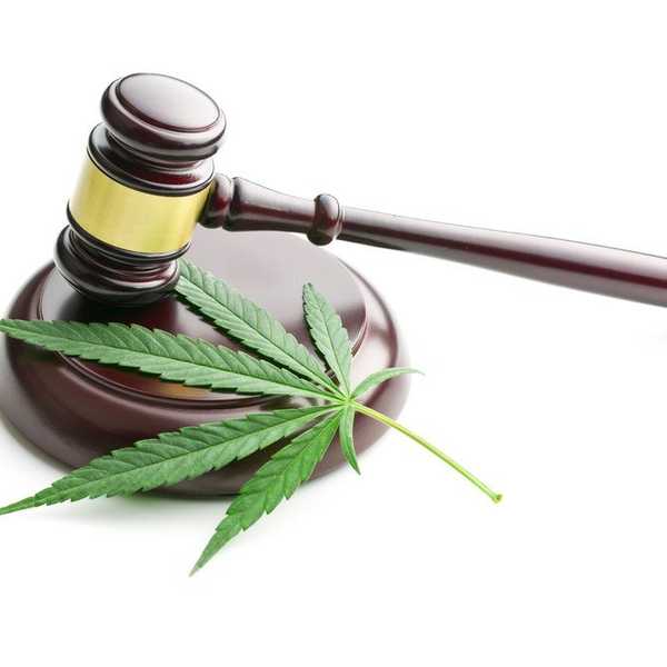 Why I Support Legalizing Marijuana