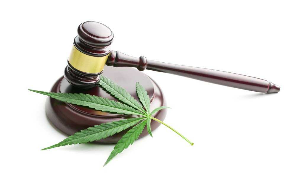 Why I Support Legalizing Marijuana