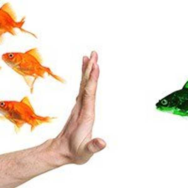 Why Discrimination Is Not Okay