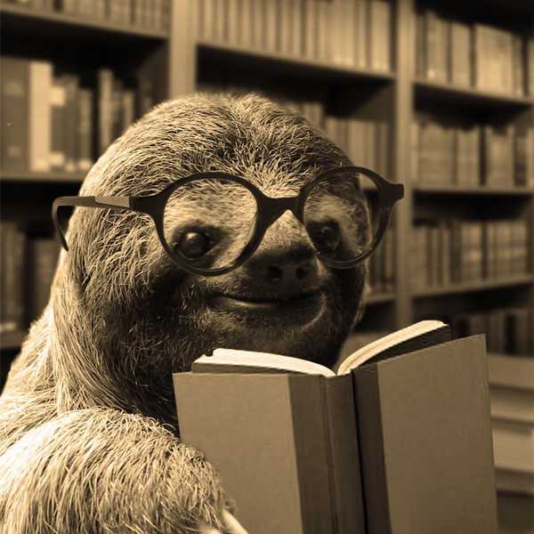 The End Of The Semester Struggle As Told By Sloths