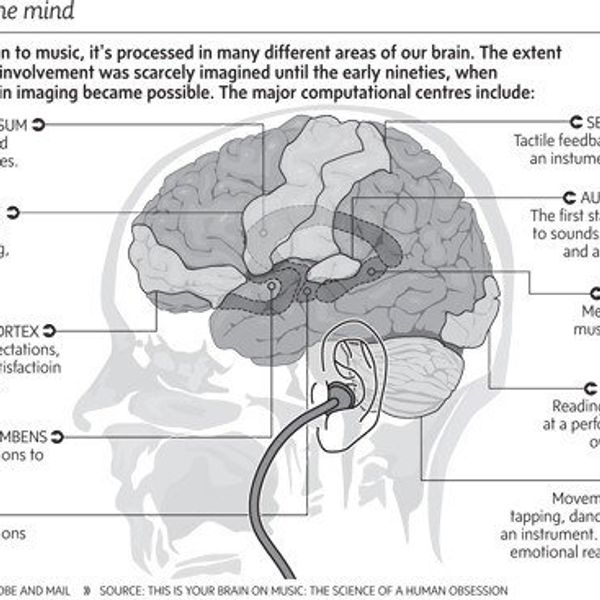 Why Music Is So Important To Our Culture