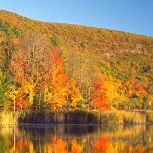 The ABC's Of The Berkshires