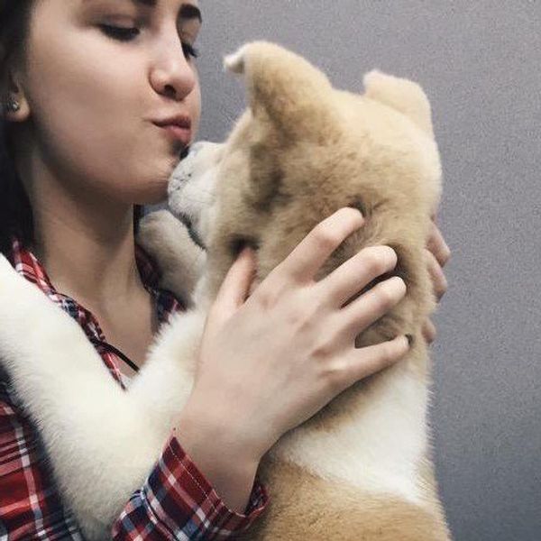 A Love Letter To My Dog