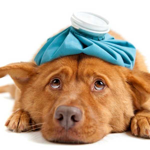 20 Thoughts You Have When You Know You're Getting Sick