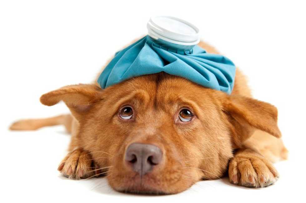 20 Thoughts You Have When You Know You're Getting Sick