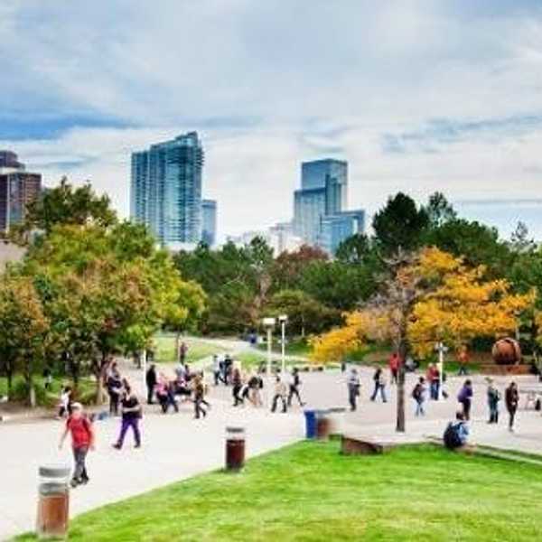 Theft On Auraria Campus