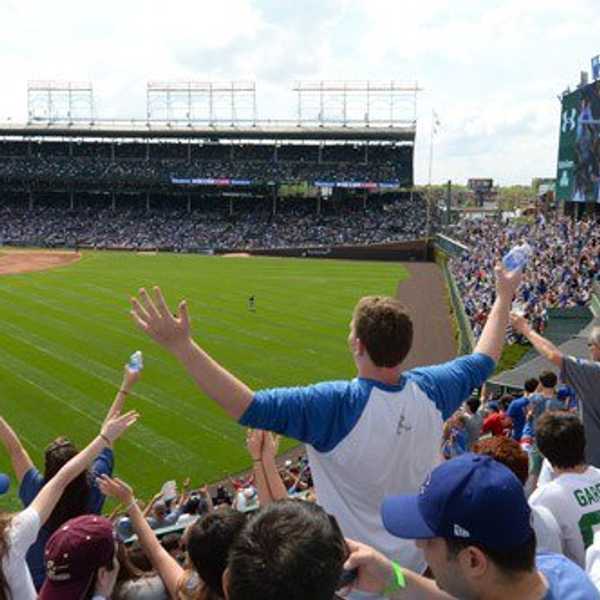 The Life Of A Cubs Fan