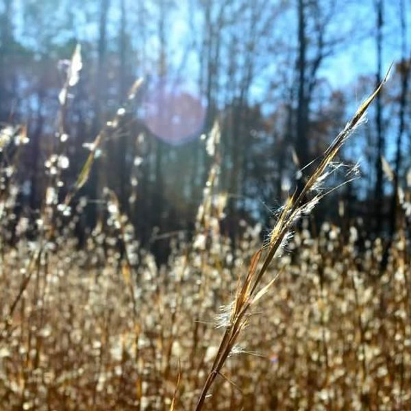 Breathe, Think, Repeat: Why It's Okay To Do Absolutely Nothing