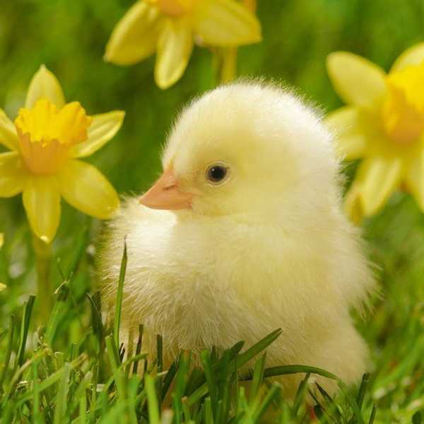 3 Reasons We Love And Hate Spring