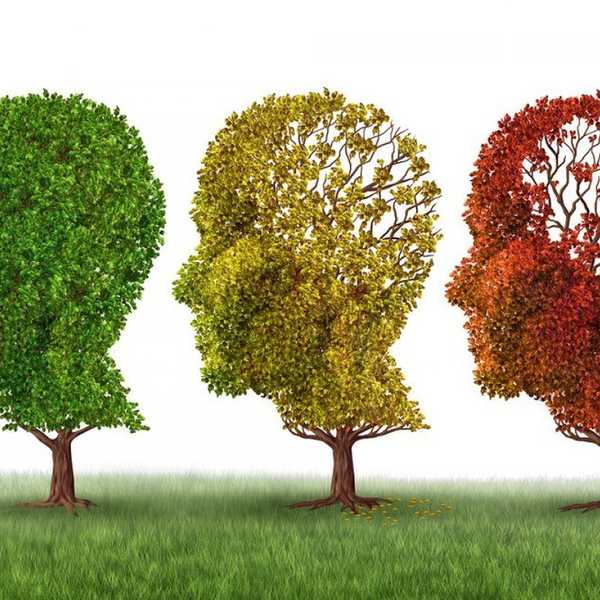 Alzheimer's: A Disease That Infected My Entire Family