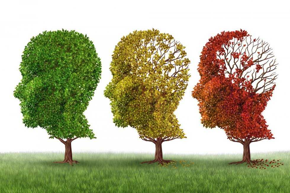 Alzheimer's: A Disease That Infected My Entire Family