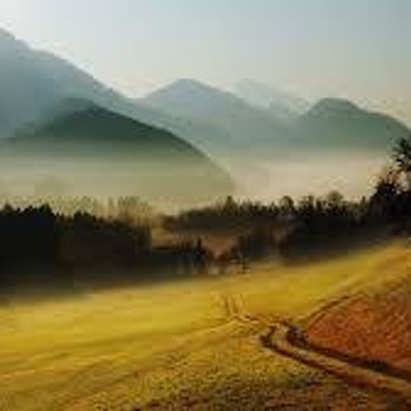 Why Love Should Not Be A Neccesity