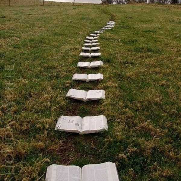 Patience In The Unknown