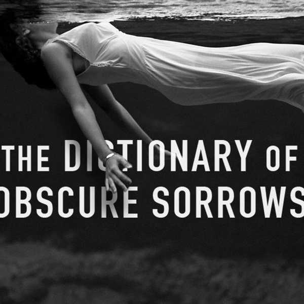 The Dictionary Of Obscure Sorrows