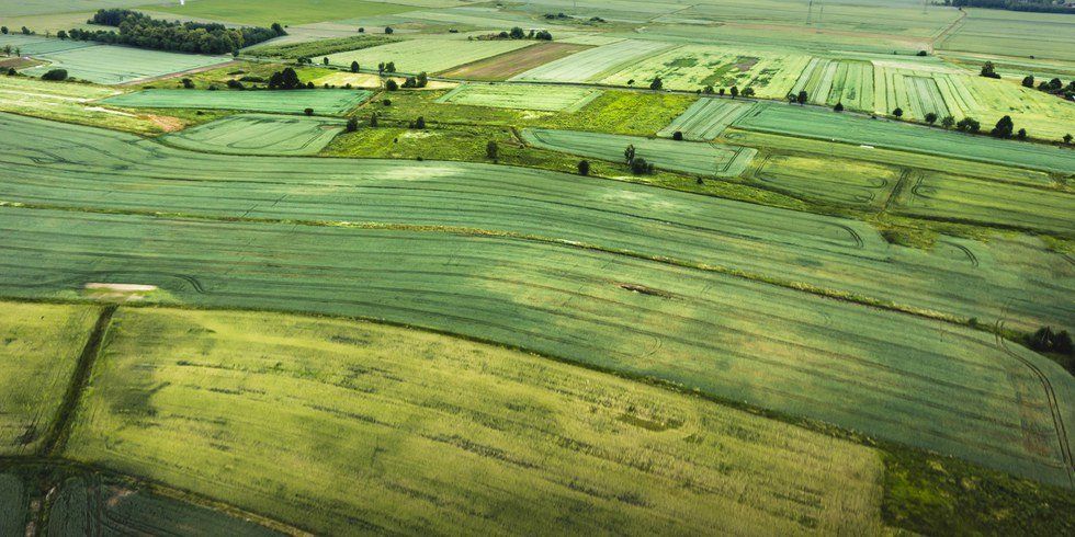 10 Things That Prove You Grew Up In A Small, Country Town