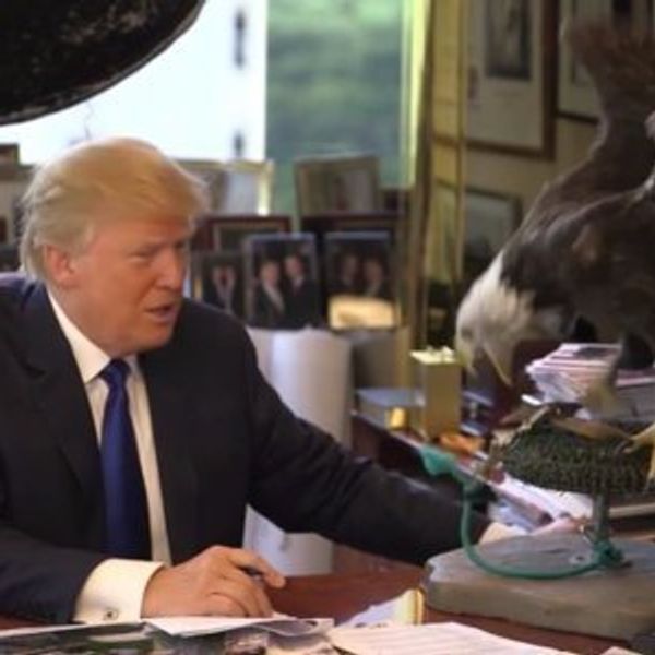 The Trumpocolypse: Election Edition