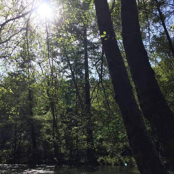 The Importance Of Nature