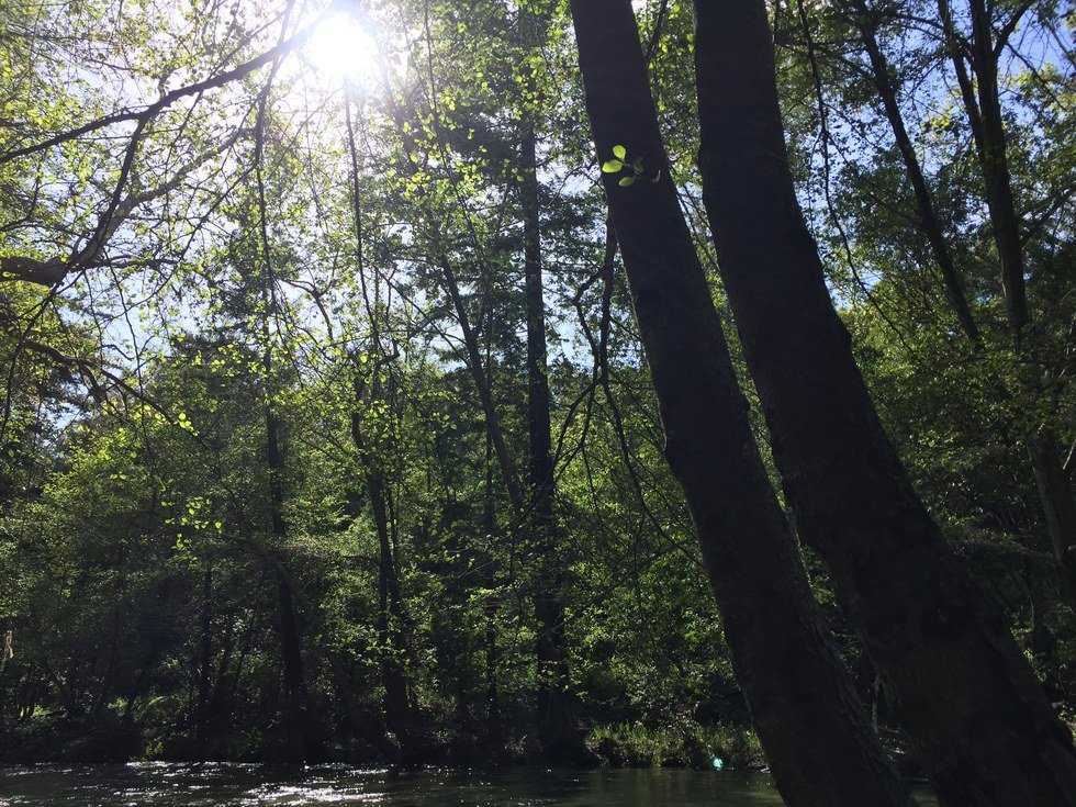 The Importance Of Nature