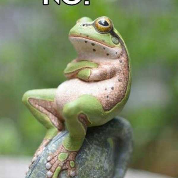 Why You Need To Say 'No' In College