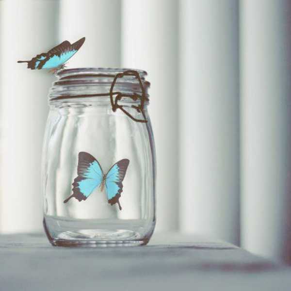I Am A Social Butterfly With Anxiety