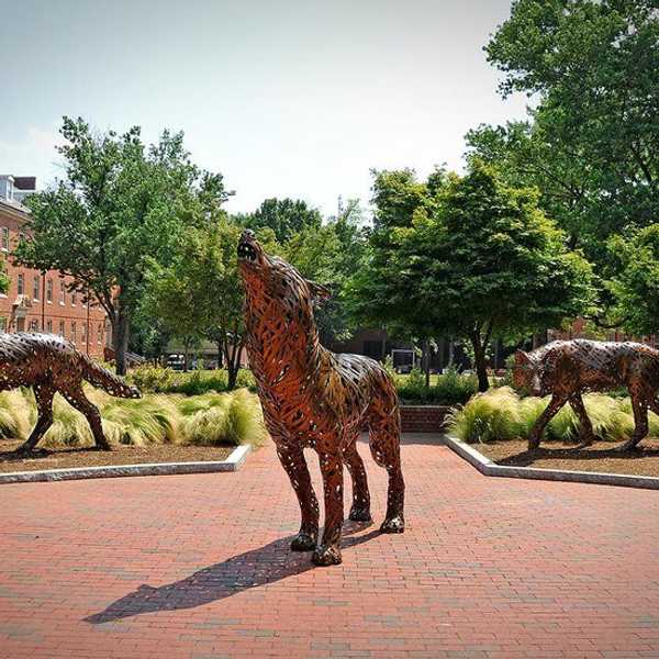 Learning To Love The School That Was Not Your First Choice