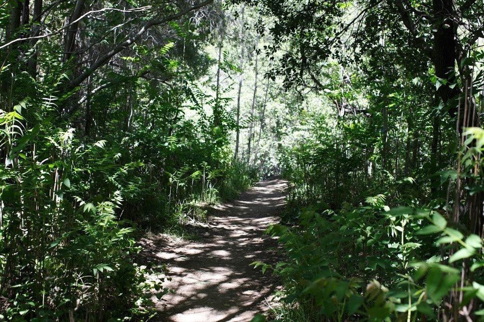 7 Incredible Hikes In Los Angeles You Need To Go On