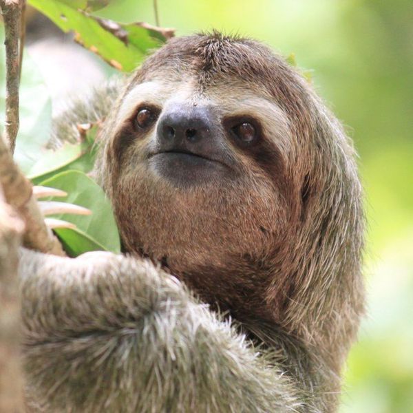 15 Pictures Of Animals Anyone Can Relate To